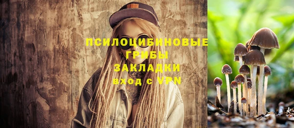 прущая мука Балахна