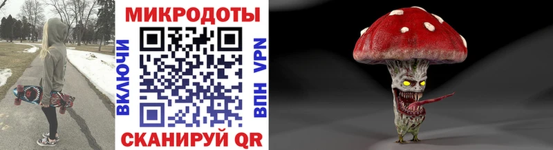 продажа наркотиков  Юрюзань  Галлюциногенные грибы Magic Shrooms 